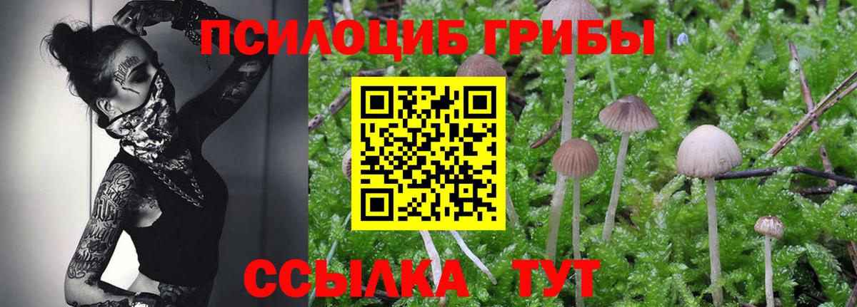 Галлюциногенные грибы прущие грибы  Вход с VPN  Галлюциногенные грибы MAGIC MUSHROOMS  Учалы 
